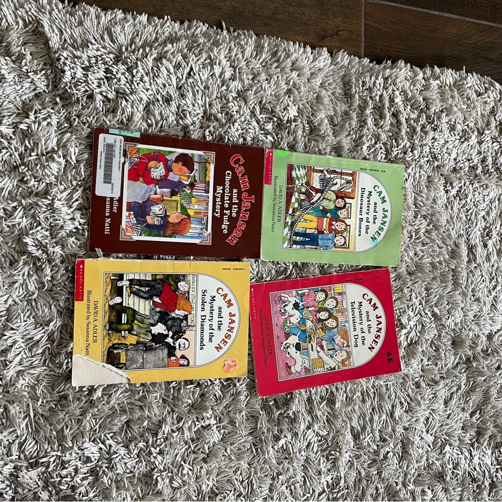 Set of Cam Jansen Books
